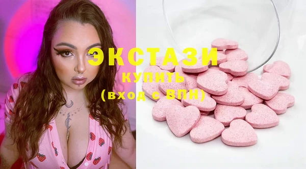 ECSTASY Богданович