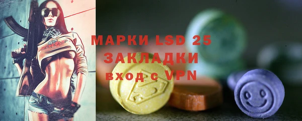 индика Нея