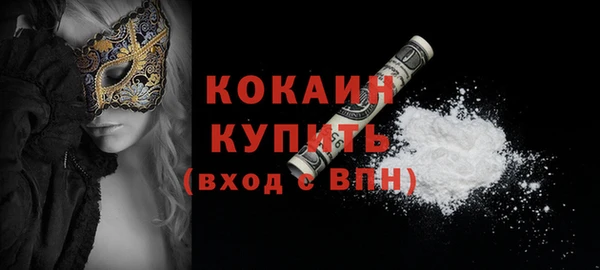 ECSTASY Богданович