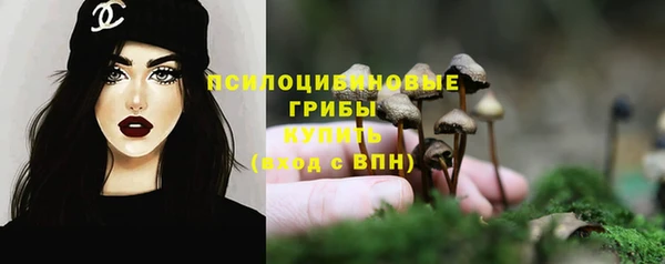 соль ск Навашино