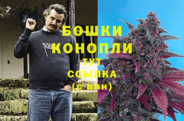 гидра Наволоки