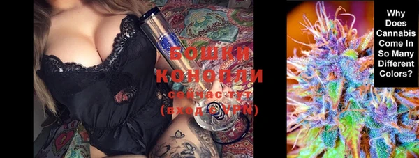гидра Наволоки
