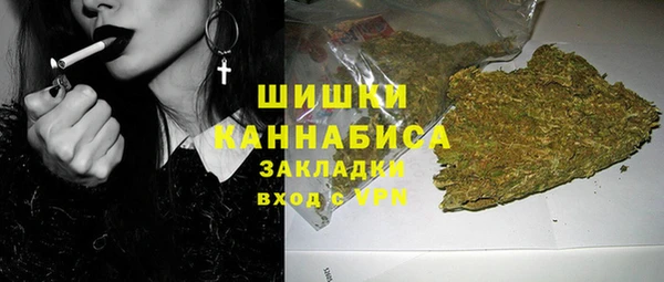 индика Нея