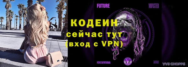 индика Нея